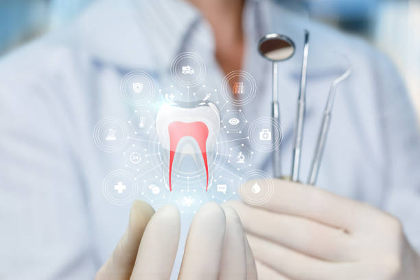 Best Preventive Dentistry  in Mayo, FL